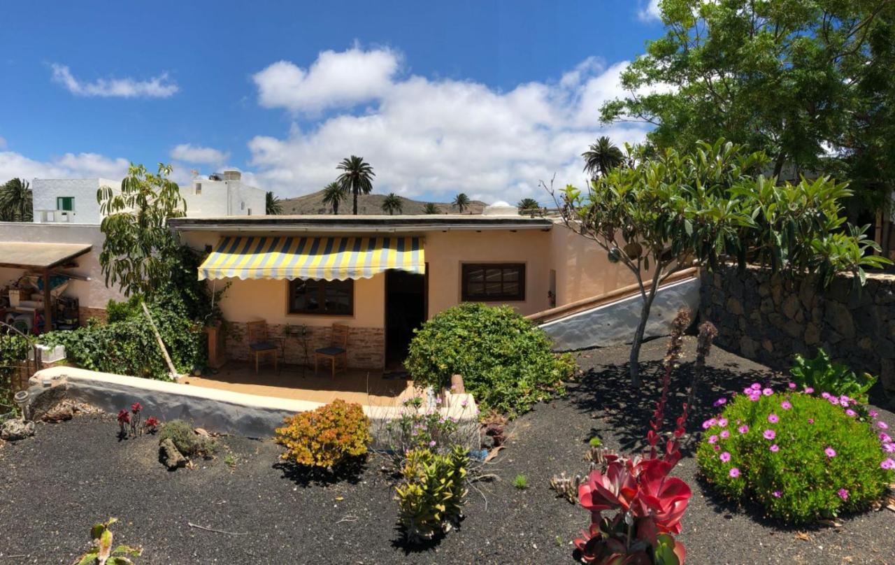 Casa Palmera Y Casa Datil Haria Luaran gambar