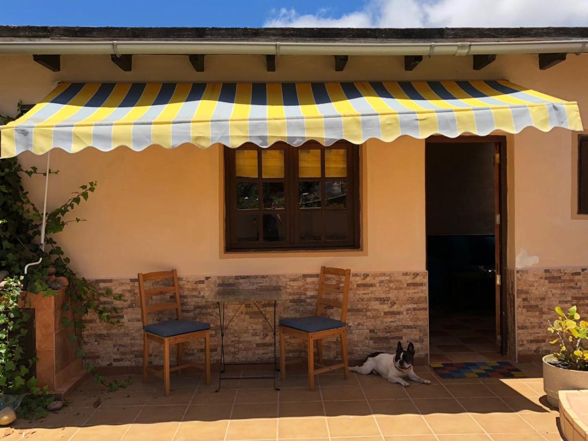 Casa Palmera Y Casa Datil Haria Luaran gambar